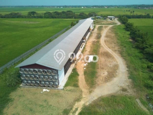 Lahan untuk Dijual di Kronjo Tangerang Luas 26500m2 Lahan untuk Dijual di Kronjo Tangerang Luas 26500m2
