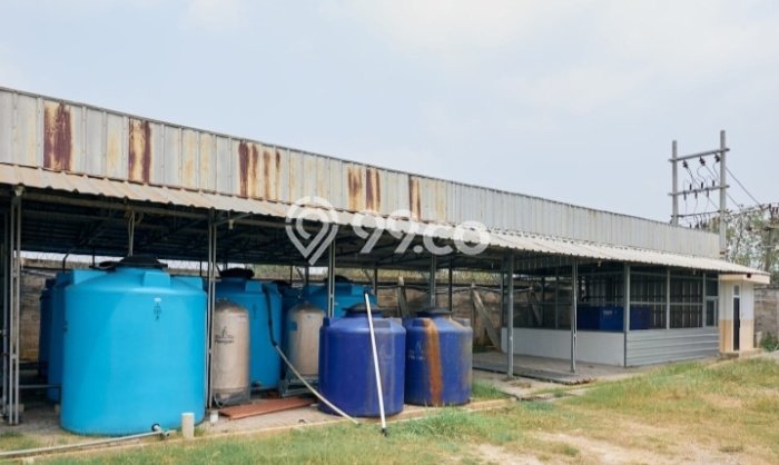 Lahan untuk Dijual di Kronjo Tangerang Luas 26500m2 Lahan untuk Dijual di Kronjo Tangerang Luas 26500m2