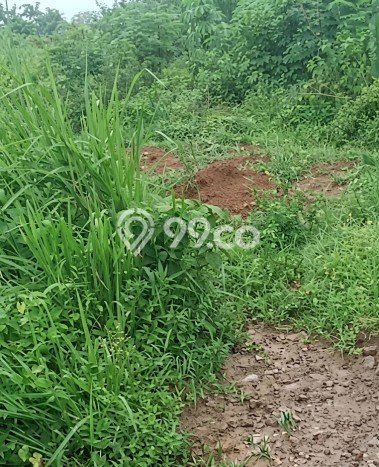 Tanah Kavling di Cileles Dijual dengan Luas 1.5e+06m2 Tanah Kavling di Cileles Dijual dengan Luas 1.5e+06m2