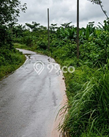 Tanah Kavling di Cileles Dijual dengan Luas 1.5e+06m2 Tanah Kavling di Cileles Dijual dengan Luas 1.5e+06m2