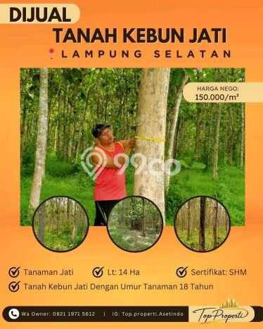 Tanah Komersial Dijual di Natar Lampung Selatan 140000m2 Tanah Komersial Dijual di Natar Lampung Selatan 140000m2