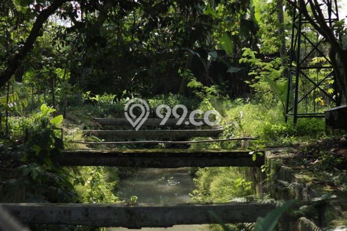 Tanah Kavling untuk Dijual di Ciampea Bogor 5250m2 Tanah Kavling untuk Dijual di Ciampea Bogor 5250m2