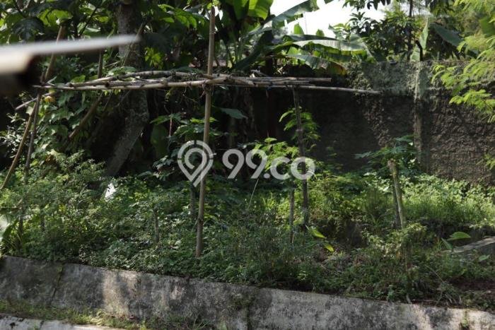 Tanah Kavling untuk Dijual di Ciampea Bogor 5250m2 Tanah Kavling untuk Dijual di Ciampea Bogor 5250m2