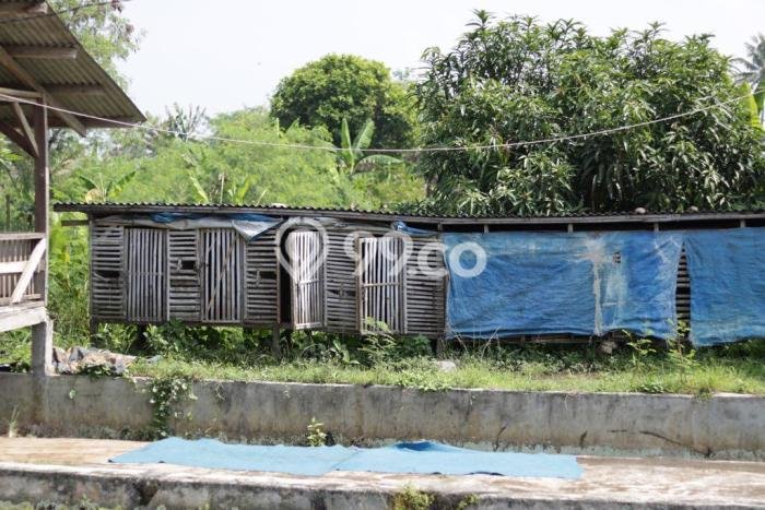 Tanah Kavling untuk Dijual di Ciampea Bogor 5250m2 Tanah Kavling untuk Dijual di Ciampea Bogor 5250m2