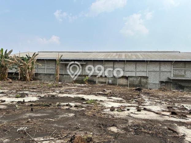 Tanah untuk Disewakan di Gunung Sindur Bogor SHM Tanah untuk Disewakan di Gunung Sindur Bogor SHM