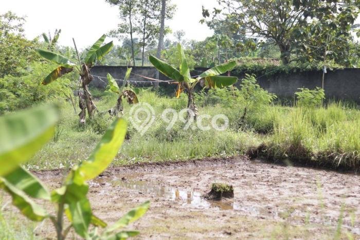 Tanah Kavling untuk Dijual di Ciampea Bogor 5250m2 Tanah Kavling untuk Dijual di Ciampea Bogor 5250m2