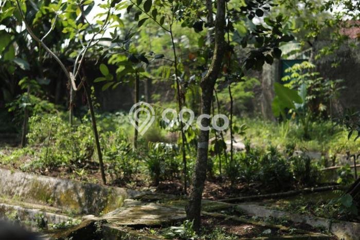 Tanah Kavling untuk Dijual di Ciampea Bogor 5250m2 Tanah Kavling untuk Dijual di Ciampea Bogor 5250m2