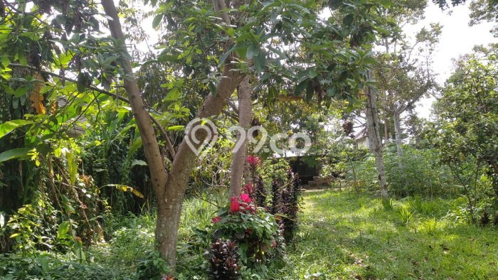 Tanah Dijual Lokasi Strategis di Tabanan dengan Luas 2750m2 Tanah Dijual Lokasi Strategis di Tabanan dengan Luas 2750m2
