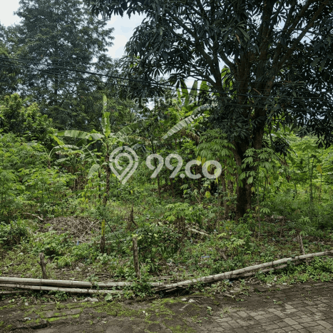 Tanah Dijual Lokasi Ngaglik Sleman SHM Tanah Dijual Lokasi Ngaglik Sleman SHM