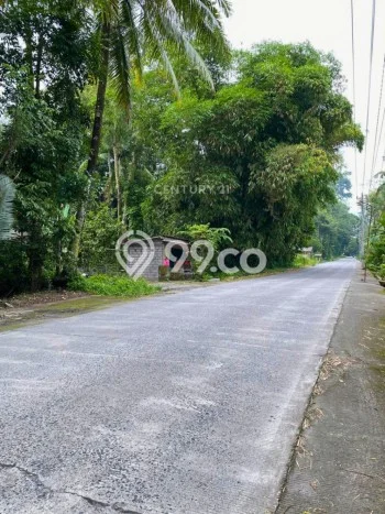 Kavling Tanah Disewakan di Cangkringan Sleman Luas 1102m2 Strategis Kavling Tanah Disewakan di Cangkringan Sleman Luas 1102m2 Strategis