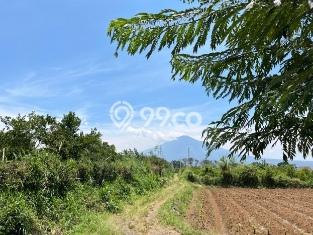 Lahan Dijual Lokasi Strategis di Malang dengan Luas 75m2 Lahan Dijual Lokasi Strategis di Malang dengan Luas 75m2