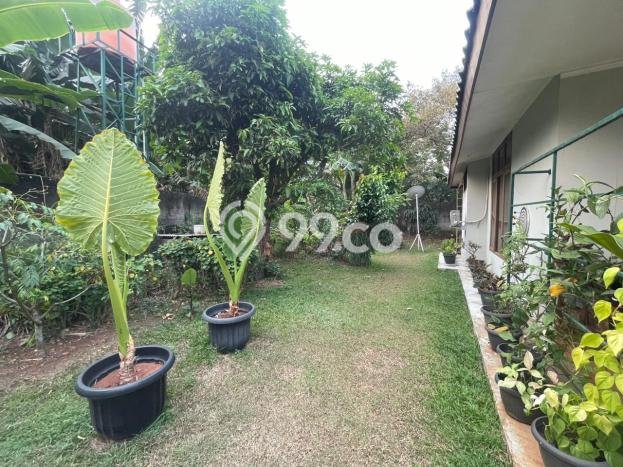 Siap Huni Rumah Mewah 5 Kamar di Tapos Dekat ke Mana Saja Siap Huni Rumah Mewah 5 Kamar di Tapos Dekat ke Mana Saja