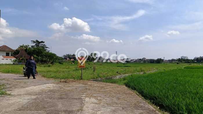 Tanah Siap Bangun Dijual di Yogyakarta Punya Luas 216m2 Tanah Siap Bangun Dijual di Yogyakarta Punya Luas 216m2