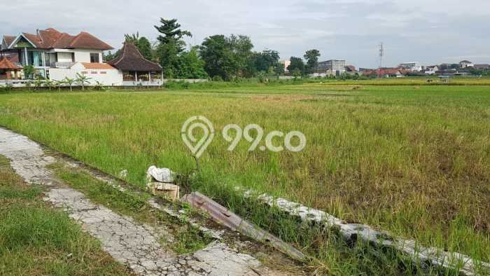 Tanah Siap Bangun Dijual di Yogyakarta Punya Luas 216m2 Tanah Siap Bangun Dijual di Yogyakarta Punya Luas 216m2