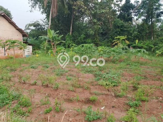 Untuk Dijual Tanah di Tigaraksa Tangerang Luas 1000m2 AJB Untuk Dijual Tanah di Tigaraksa Tangerang Luas 1000m2 AJB