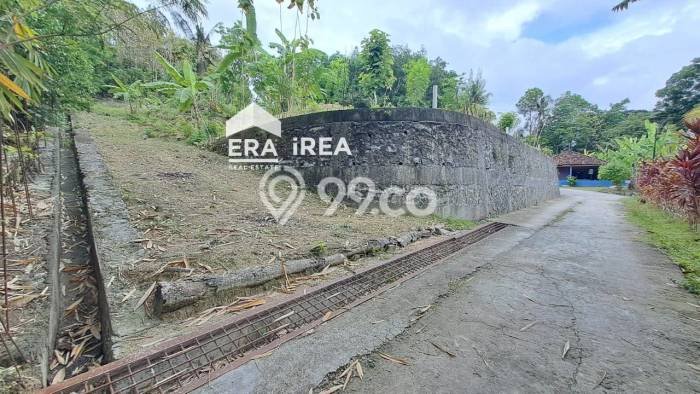 Jarang Ada! Tanah di Kasihan Punya Luas 2465m2 SHM Jarang Ada! Tanah di Kasihan Punya Luas 2465m2 SHM