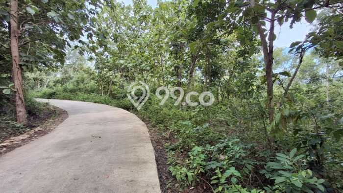 Tanah Strategis Dijual di Pajangan Bantul 6898m2 Tanah Strategis Dijual di Pajangan Bantul 6898m2