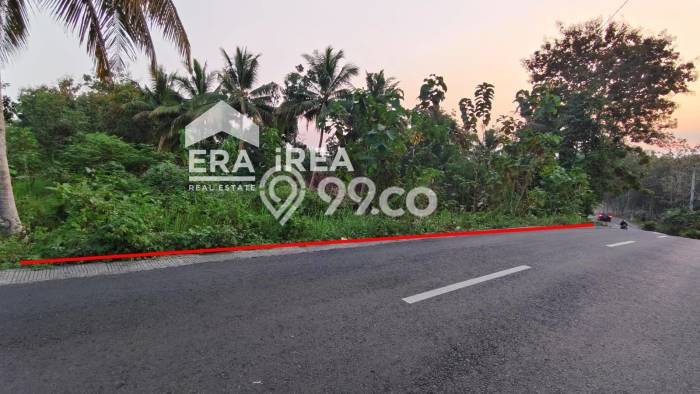 Tanah Kavling di Kasihan Dijual dengan Luas 3000m2 Tanah Kavling di Kasihan Dijual dengan Luas 3000m2