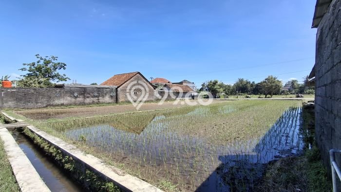 Kavling Tanah Dijual di Sleman Sleman Spesifikasi 1700m2 Kavling Tanah Dijual di Sleman Sleman Spesifikasi 1700m2
