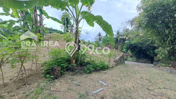 Jarang Ada! Tanah di Kasihan Punya Luas 2465m2 SHM Jarang Ada! Tanah di Kasihan Punya Luas 2465m2 SHM