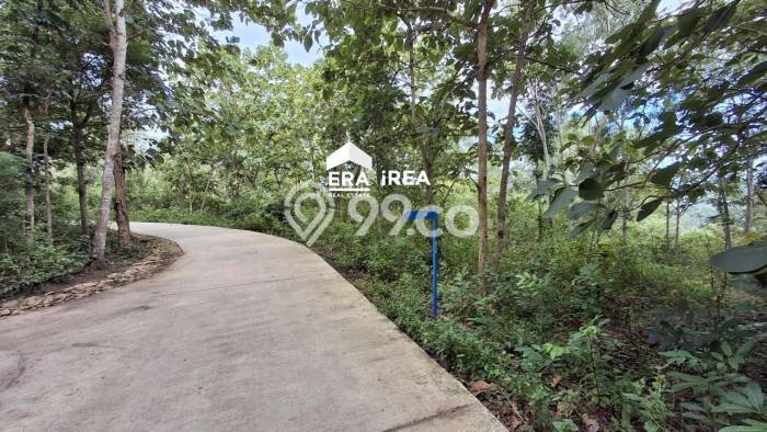 Tanah Strategis Dijual di Pajangan Bantul 6898m2 Tanah Strategis Dijual di Pajangan Bantul 6898m2