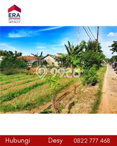 Tanah Dijual Lokasi Babelan Bekasi SHM Tanah Dijual Lokasi Babelan Bekasi SHM