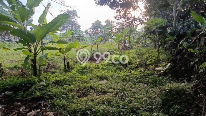 Tanah Kavling Dijual di Bogor dengan Spesifikasi 1530m2 Tanah Kavling Dijual di Bogor dengan Spesifikasi 1530m2