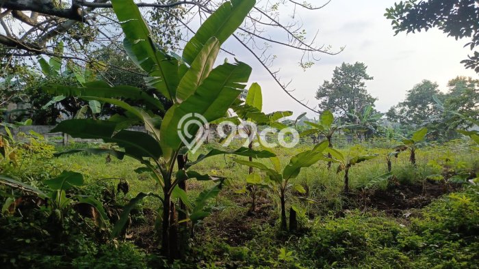 Tanah Kavling Dijual di Bogor dengan Spesifikasi 1530m2 Tanah Kavling Dijual di Bogor dengan Spesifikasi 1530m2