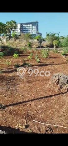 Tanah Strategis Dijual di Kupang Tengah Kupang 380m2 Tanah Strategis Dijual di Kupang Tengah Kupang 380m2