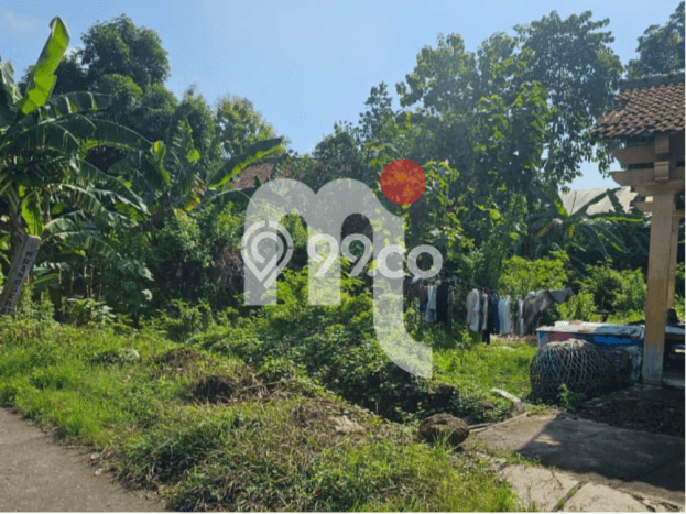Tanah Komersial Dijual di Mranggen Demak 297m2 Tanah Komersial Dijual di Mranggen Demak 297m2