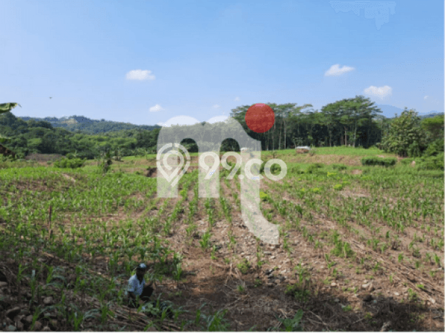 Tanah di Gunung Pati, Semarang Luas 250000m2 Dijual Segera Tanah di Gunung Pati, Semarang Luas 250000m2 Dijual Segera
