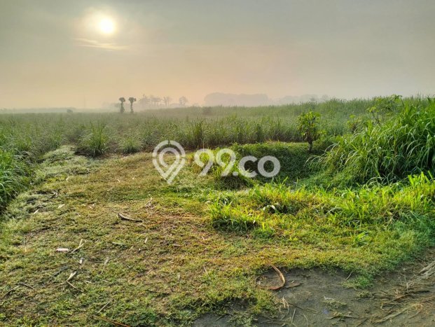 Tanah Kavling untuk Dijual di Tulungagung Tulungagung 9820m2 Tanah Kavling untuk Dijual di Tulungagung Tulungagung 9820m2