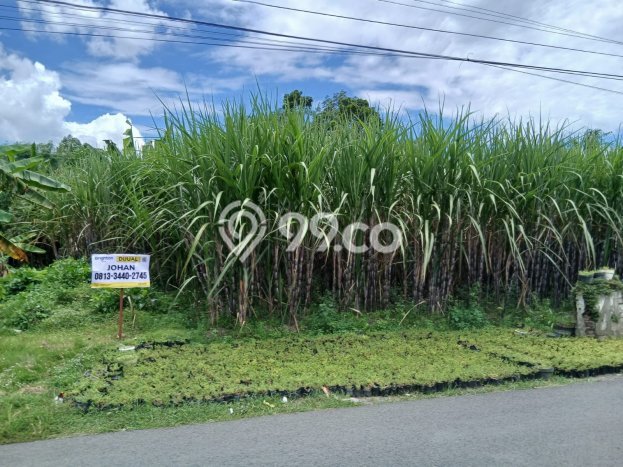 Lahan Dijual Lokasi Kras, Kediri dengan Luas Tanah 3558m2 dan Status SHM Lahan Dijual Lokasi Kras, Kediri dengan Luas Tanah 3558m2 dan Status SHM