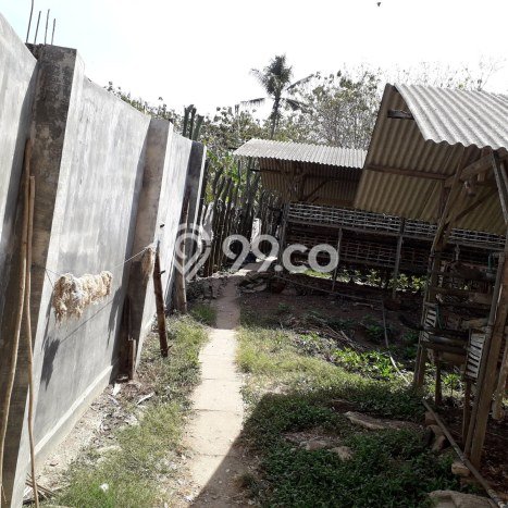 Lahan Kosong Dijual di Kademangan, Blitar, Luas 10100m2 Area Strategis Lahan Kosong Dijual di Kademangan, Blitar, Luas 10100m2 Area Strategis