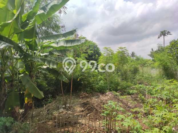 Unit Gudang Dijual di Padalarang Bandung Barat Luas Tanah 1300m2, Luas Bangunan 400m2 Unit Gudang Dijual di Padalarang Bandung Barat Luas Tanah 1300m2, Luas Bangunan 400m2