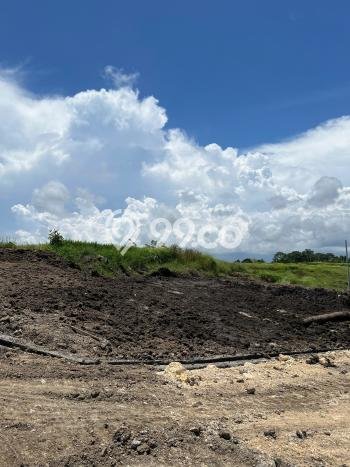 Kavling Tanah untuk Dijual di Kedungu, Tabanan, Luas 175m2 Kavling Tanah untuk Dijual di Kedungu, Tabanan, Luas 175m2