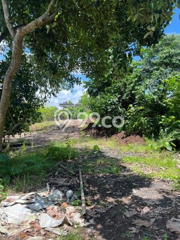 Kavling Tanah untuk Dijual di Kedungu, Tabanan, Luas 781m2 Kavling Tanah untuk Dijual di Kedungu, Tabanan, Luas 781m2