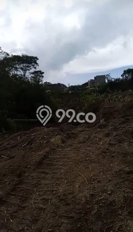 Tanah Dijual Lokasi Kintamani Bangli SHM Tanah Dijual Lokasi Kintamani Bangli SHM