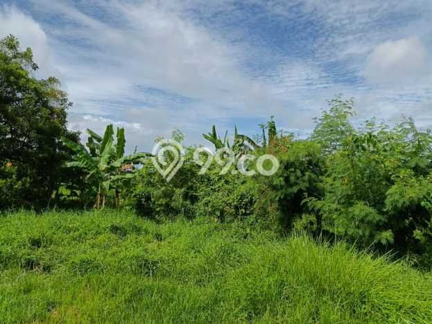 Kavling Tanah untuk Dijual di Gilimanuk, Jembrana, Luas 23430m2 Kavling Tanah untuk Dijual di Gilimanuk, Jembrana, Luas 23430m2