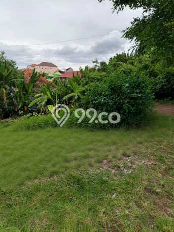Kavling Tanah Dijual di Tabanan Tabanan Spesifikasi 570m2 Kavling Tanah Dijual di Tabanan Tabanan Spesifikasi 570m2