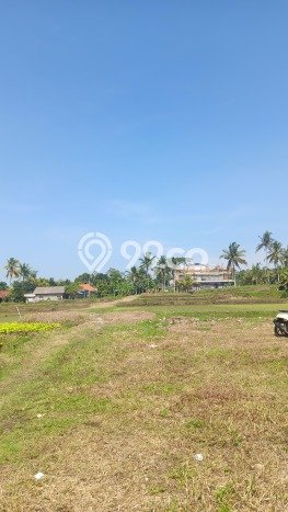 Untuk Dijual Tanah di Gianyar, Luas 3600m2 SHM Untuk Dijual Tanah di Gianyar, Luas 3600m2 SHM