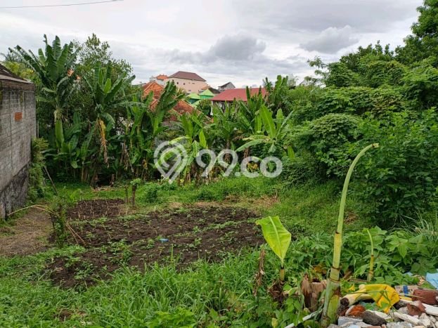 Kavling Tanah Dijual di Tabanan Tabanan Spesifikasi 570m2 Kavling Tanah Dijual di Tabanan Tabanan Spesifikasi 570m2