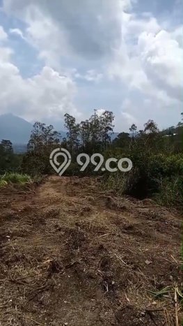 Tanah Dijual Lokasi Kintamani Bangli SHM Tanah Dijual Lokasi Kintamani Bangli SHM