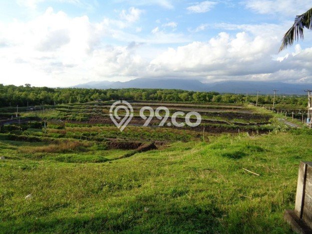 Tanah Dijual Lokasi Strategis di Jembrana dengan Luas 42150m2 Tanah Dijual Lokasi Strategis di Jembrana dengan Luas 42150m2