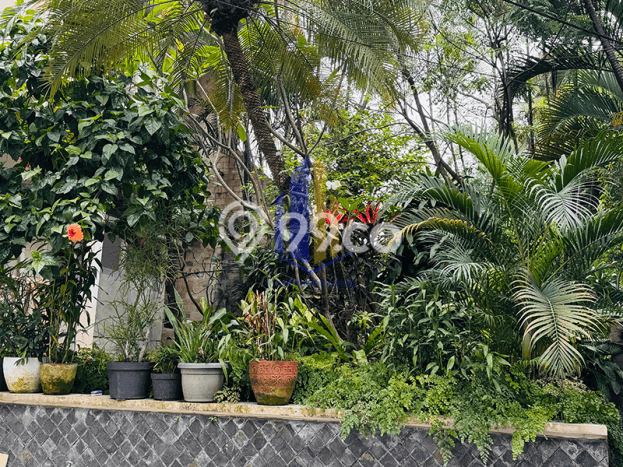 Disewakan Segera Rumah Kondisi Baik di Area Kebayoran Baru, Jakarta Selatan Disewakan Segera Rumah Kondisi Baik di Area Kebayoran Baru, Jakarta Selatan