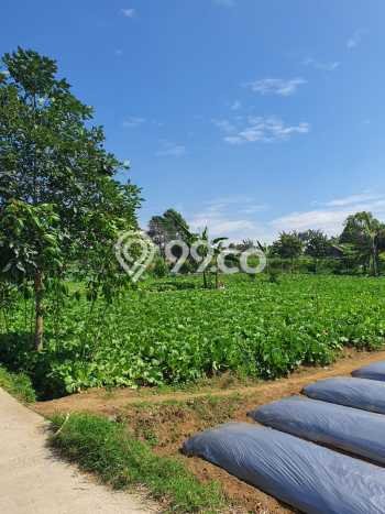 Lahan Kosong Dijual di Cianjur dengan Area 1570m2 Lahan Kosong Dijual di Cianjur dengan Area 1570m2