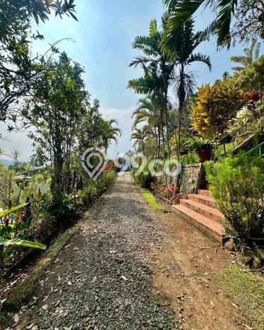 Vila Berkualitas Kawasan Megamendung, Dimensi 8200m2m², Posisi Premium dengan akses bagus Vila Berkualitas Kawasan Megamendung, Dimensi 8200m2m², Posisi Premium dengan akses bagus