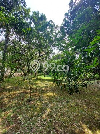 Hunian Eksklusif Siap Huni LT 4950m2 di Jagakarsa, Jakarta Selatan Hunian Eksklusif Siap Huni LT 4950m2 di Jagakarsa, Jakarta Selatan