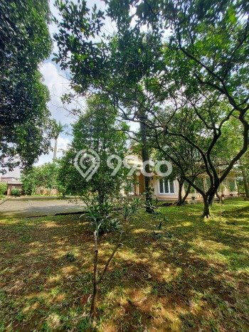 Hunian Eksklusif Siap Huni LT 4950m2 di Jagakarsa, Jakarta Selatan Hunian Eksklusif Siap Huni LT 4950m2 di Jagakarsa, Jakarta Selatan