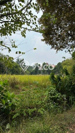 Kavling Tanah Dijual di Cinere Depok Spesifikasi 4645m2 Kavling Tanah Dijual di Cinere Depok Spesifikasi 4645m2